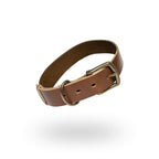 The Dog Collar - The Peony Haus