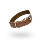 The Dog Collar - The Peony Haus