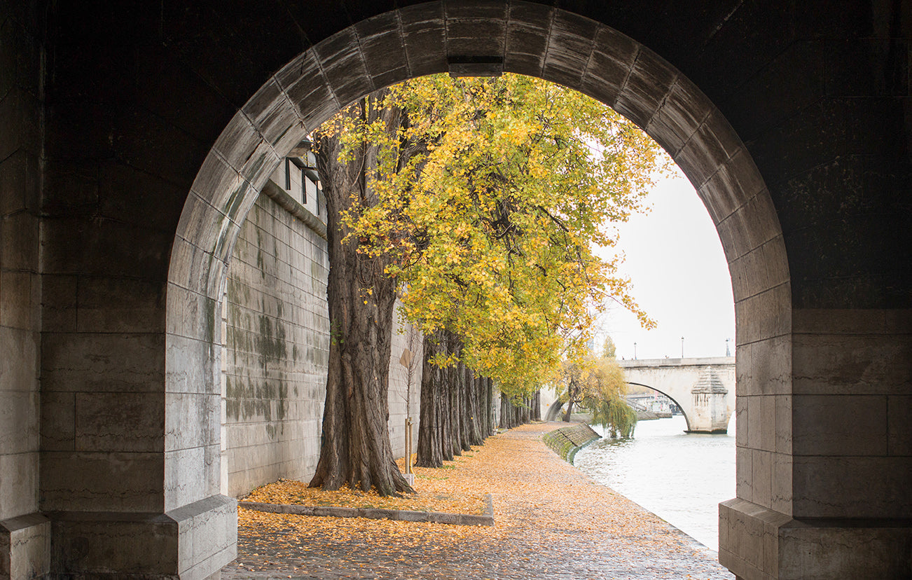 Autumn Stroll on The Seine Print