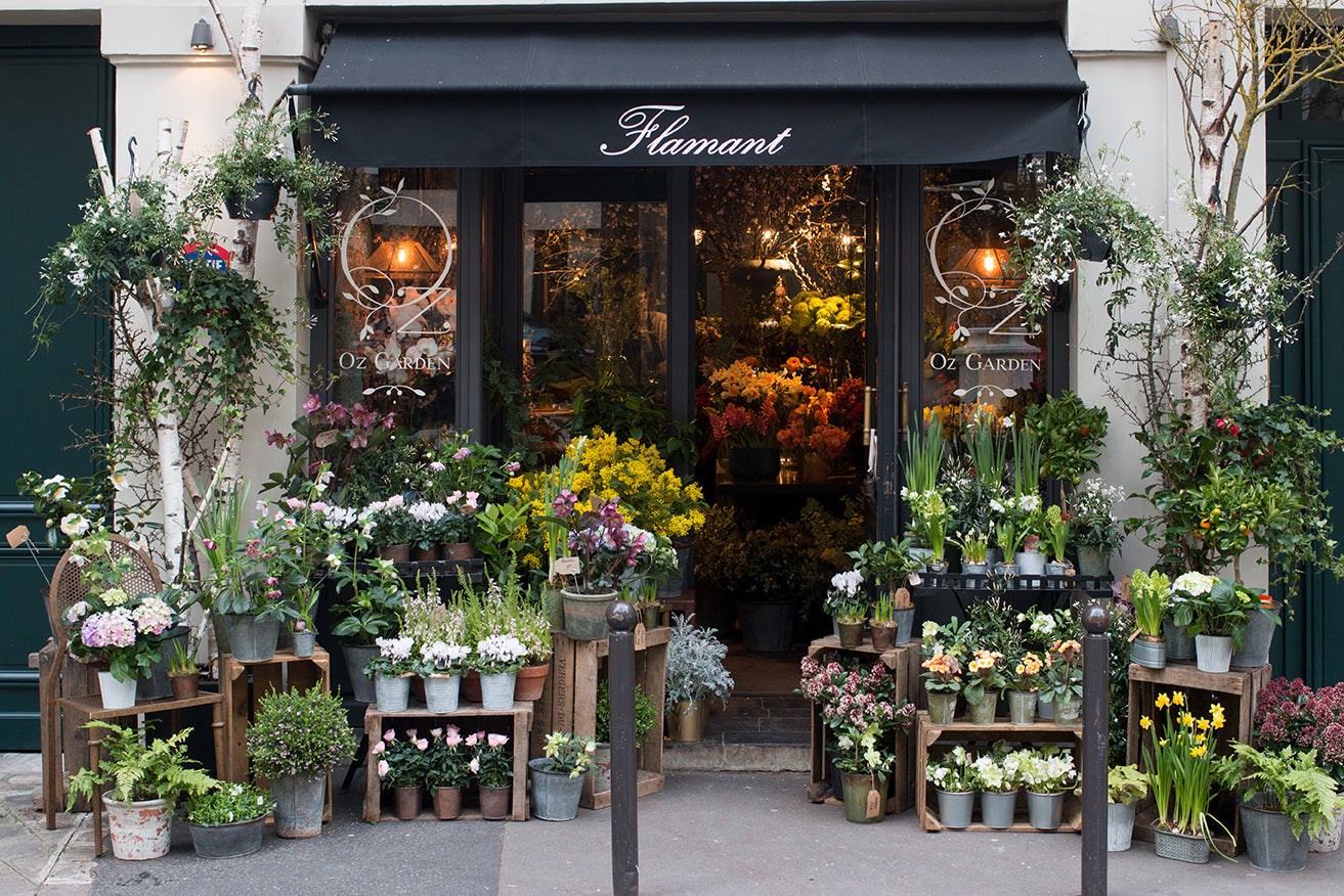 Left Bank Flower Shop in Paris Print