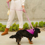 Malibu Sunset Sustainable Hemp Cotton Adjustable Dog Leash – Durable & Soft