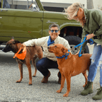 Malibu Sunset Sustainable Hemp Cotton Adjustable Dog Collar– Durable & Soft