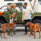 Malibu Sunset Sustainable Hemp Cotton Adjustable Dog Leash – Durable & Soft