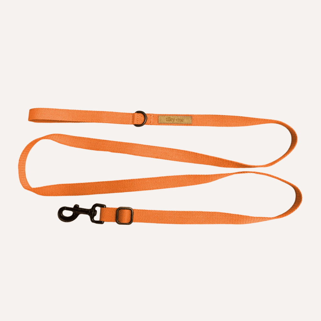 Malibu Sunset Sustainable Hemp Cotton Adjustable Dog Leash – Durable & Soft