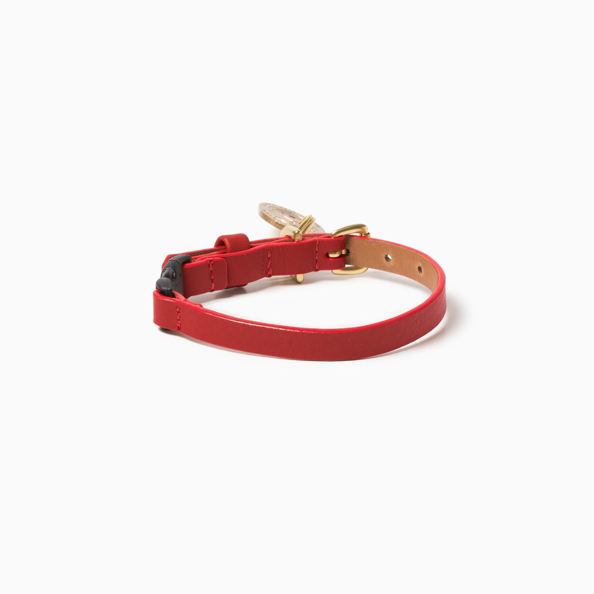 Mars Cat Collar