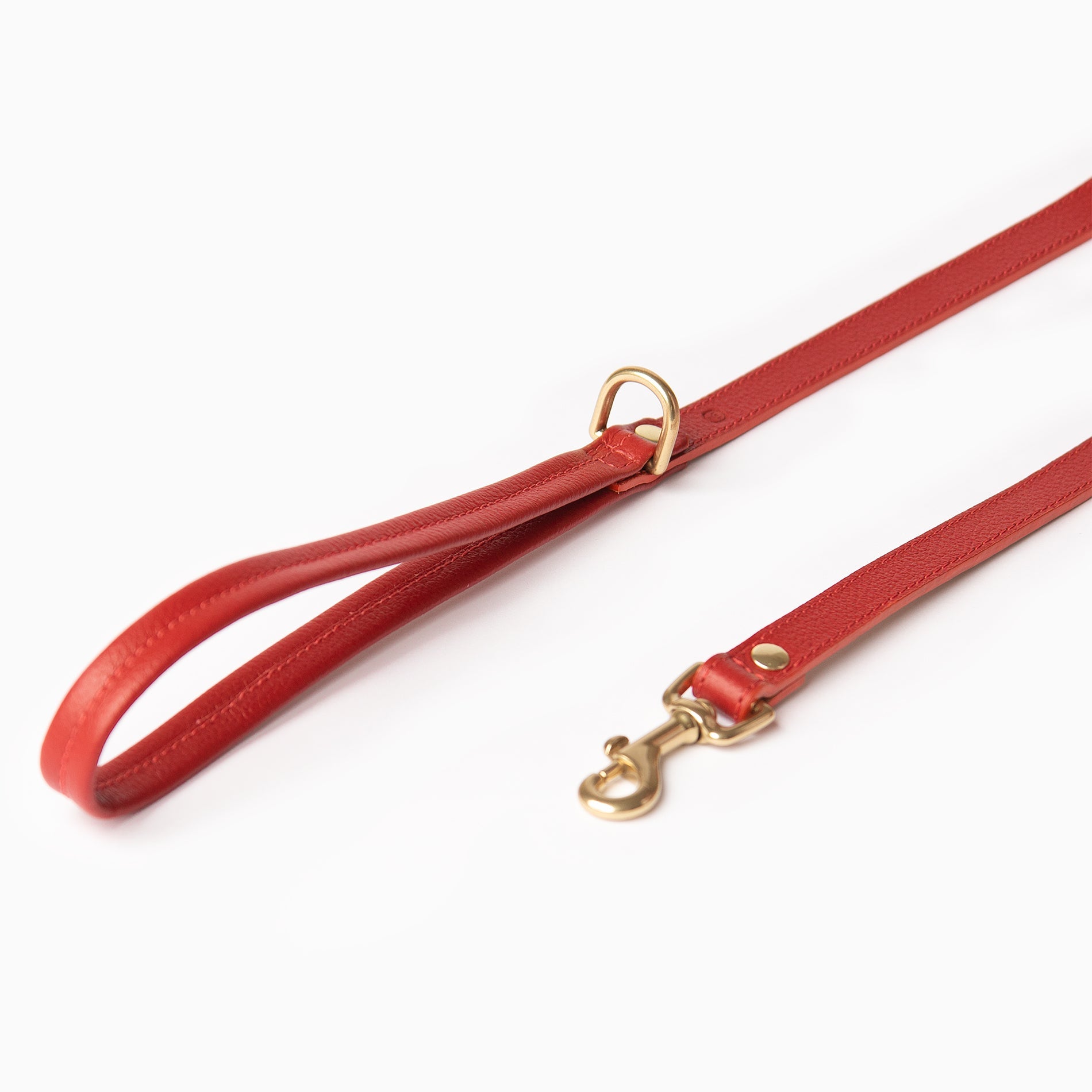 Mars Leash