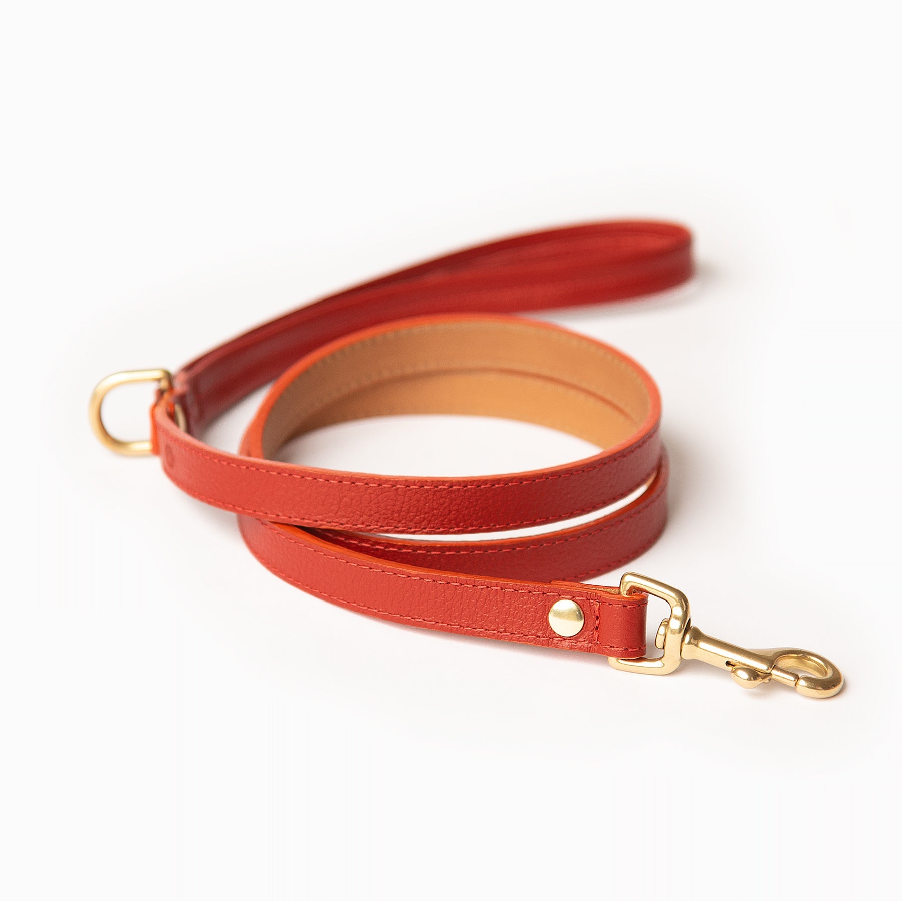 Mars Leash