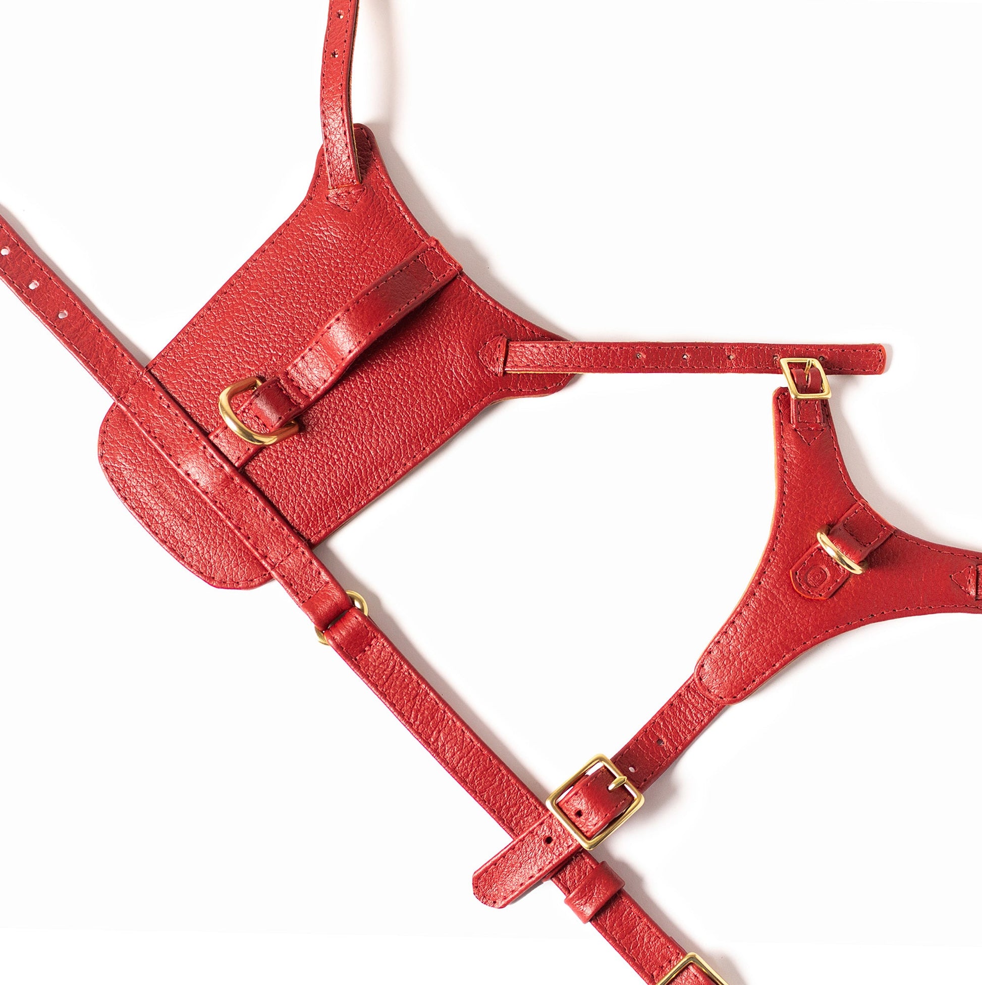 Mars Heritage Harness