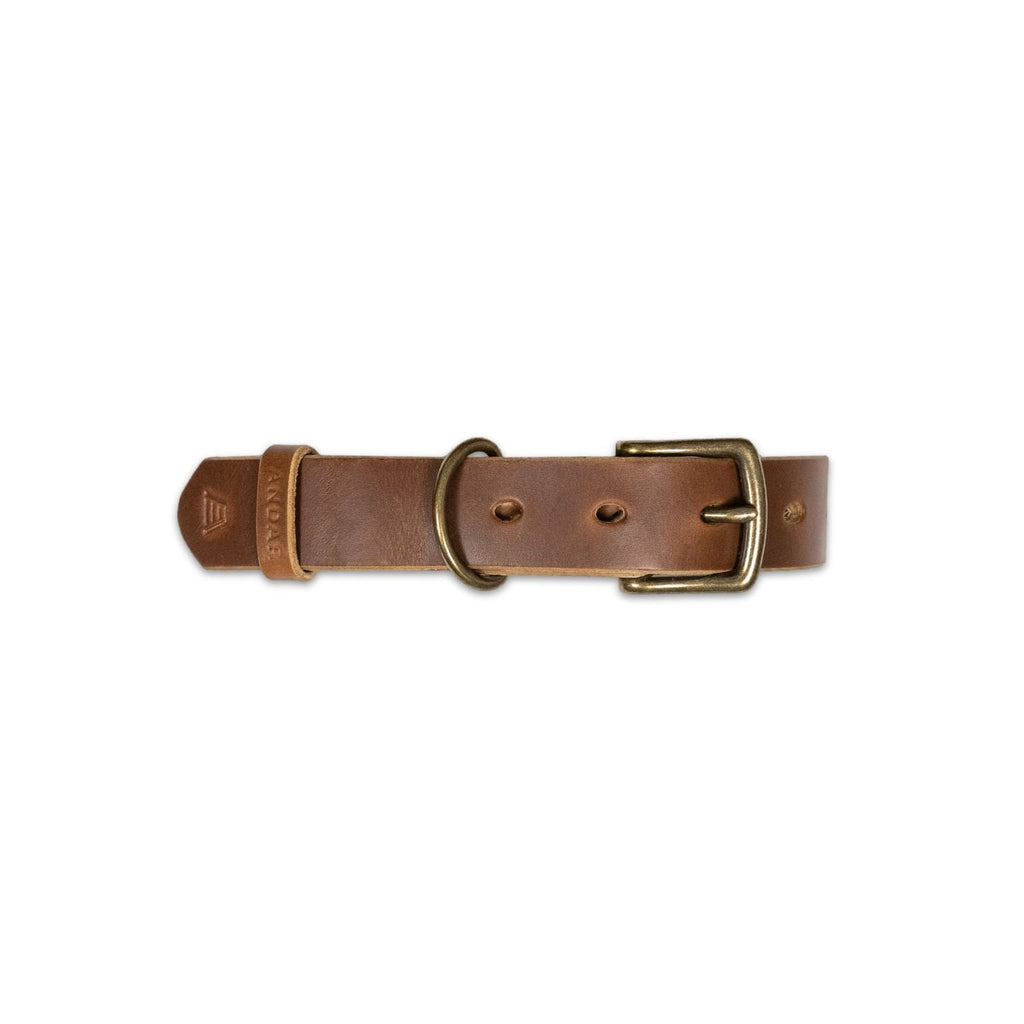 The Dog Collar