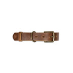 The Dog Collar - The Peony Haus