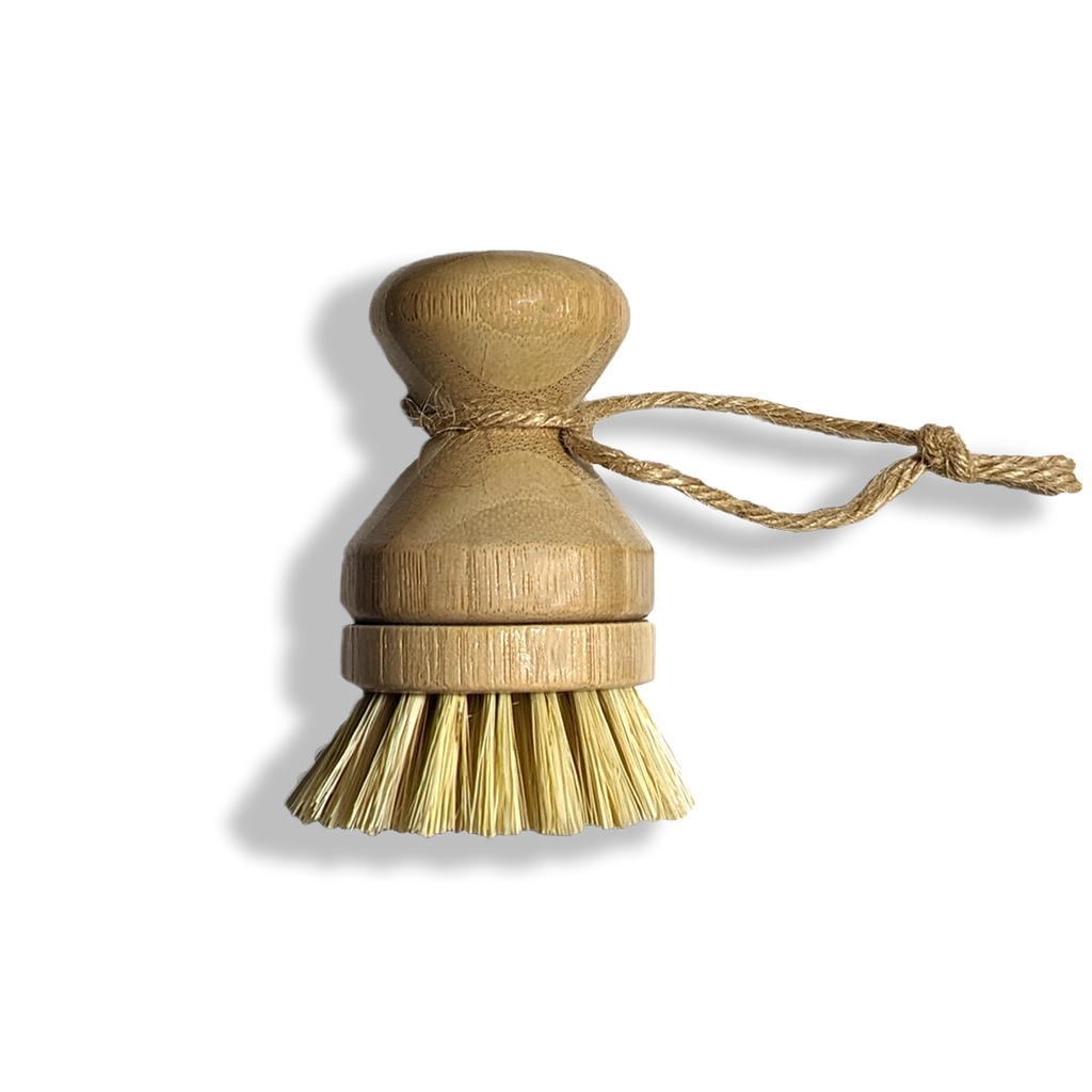 Modular Palm Pot Scrub Brush