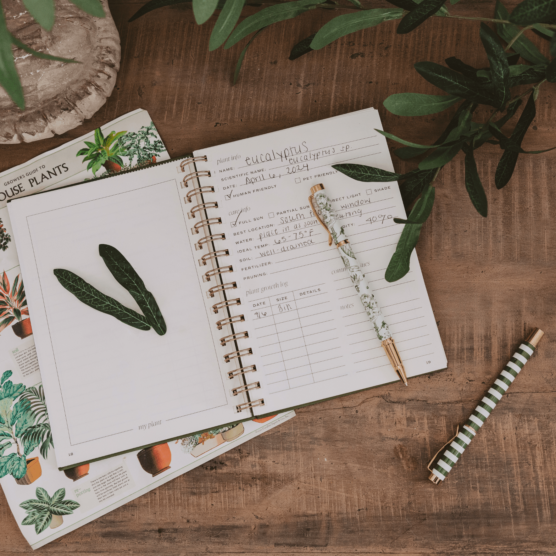 Plant Journal - The Peony Haus