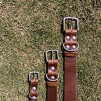 The Dog Collar - The Peony Haus