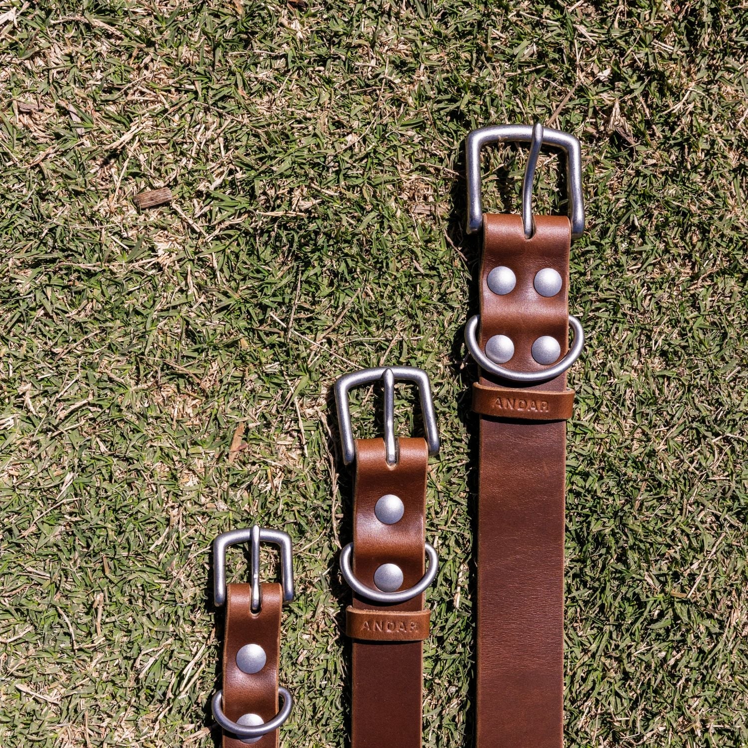 The Dog Collar - The Peony Haus