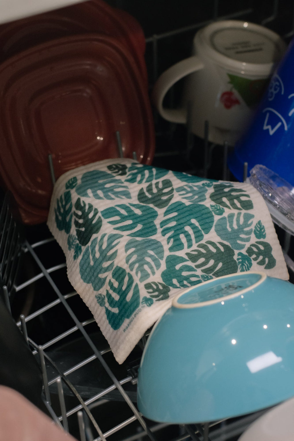 WASHCLOUD® - MONSTERA FLORA - No Tox Life®