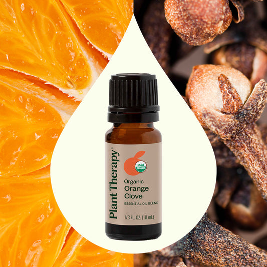 Organic Orange Clove Essential Oil Blend - The Peony Haus