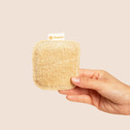 Scrub Sponge