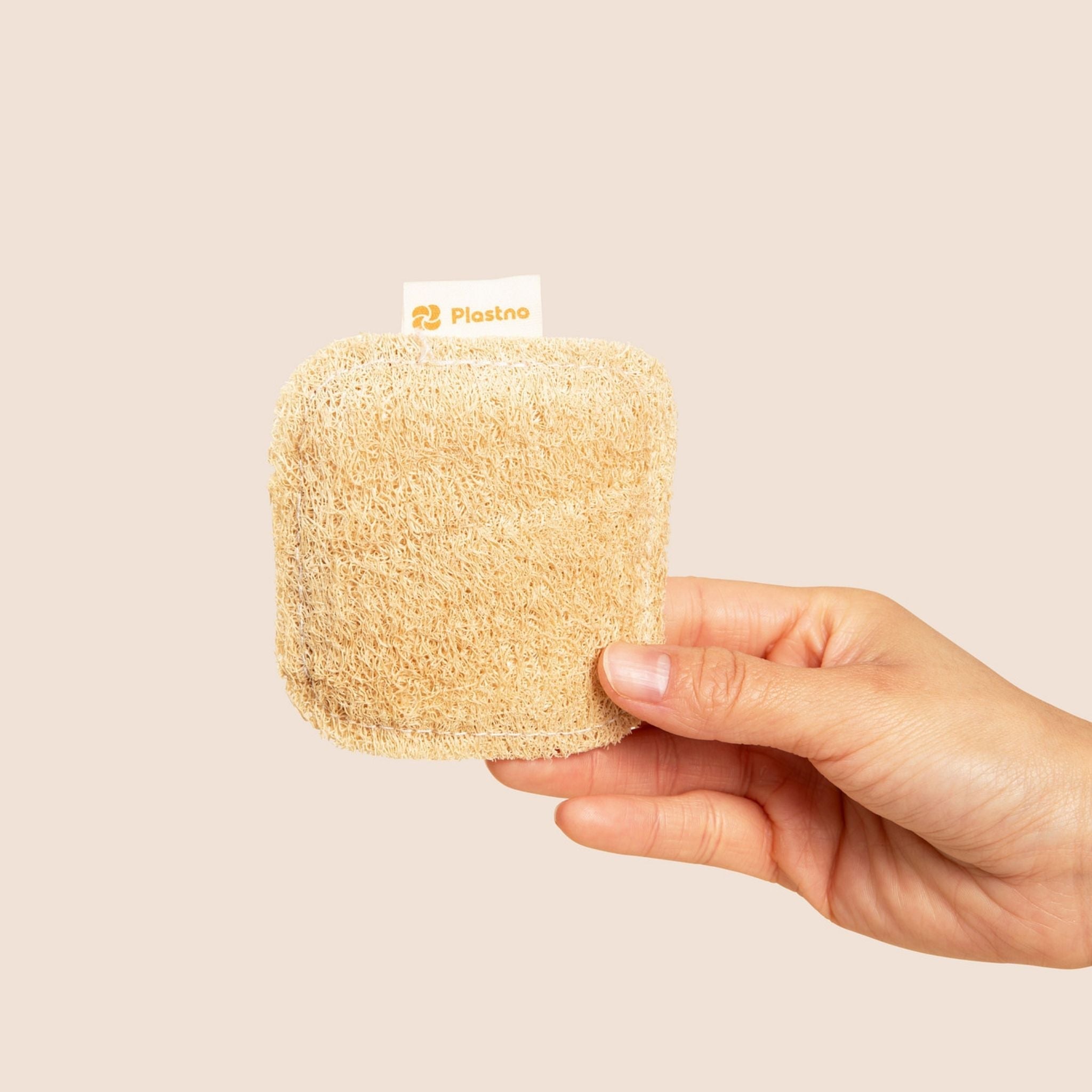 Scrub Sponge