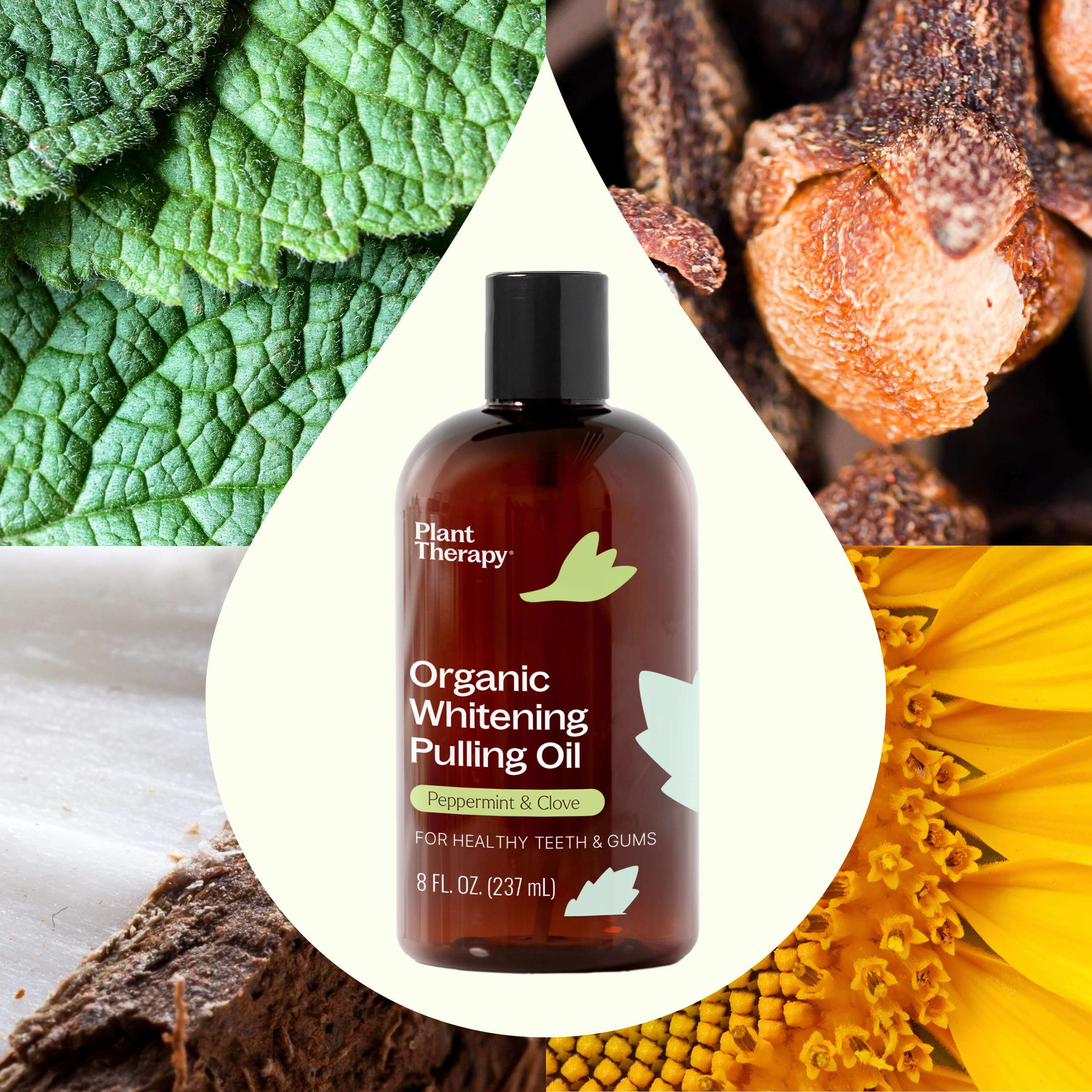 Organic Whitening Pulling Oil - The Peony Haus