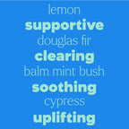 Quiet Cough® KidSafe Essential Oil Blend