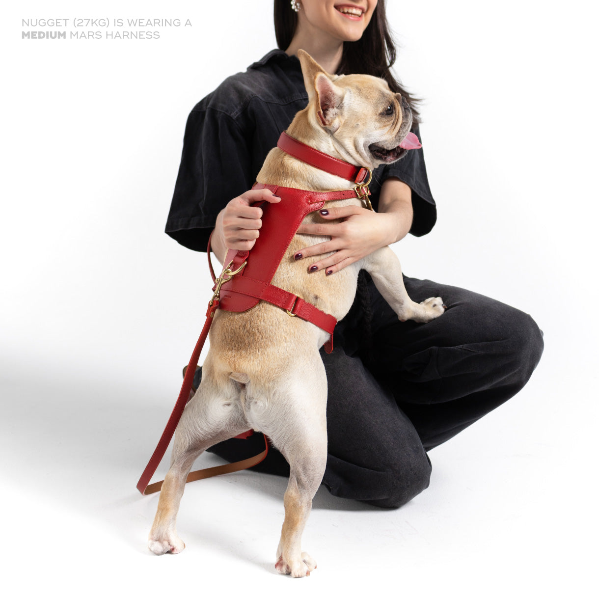 Mars Heritage Harness