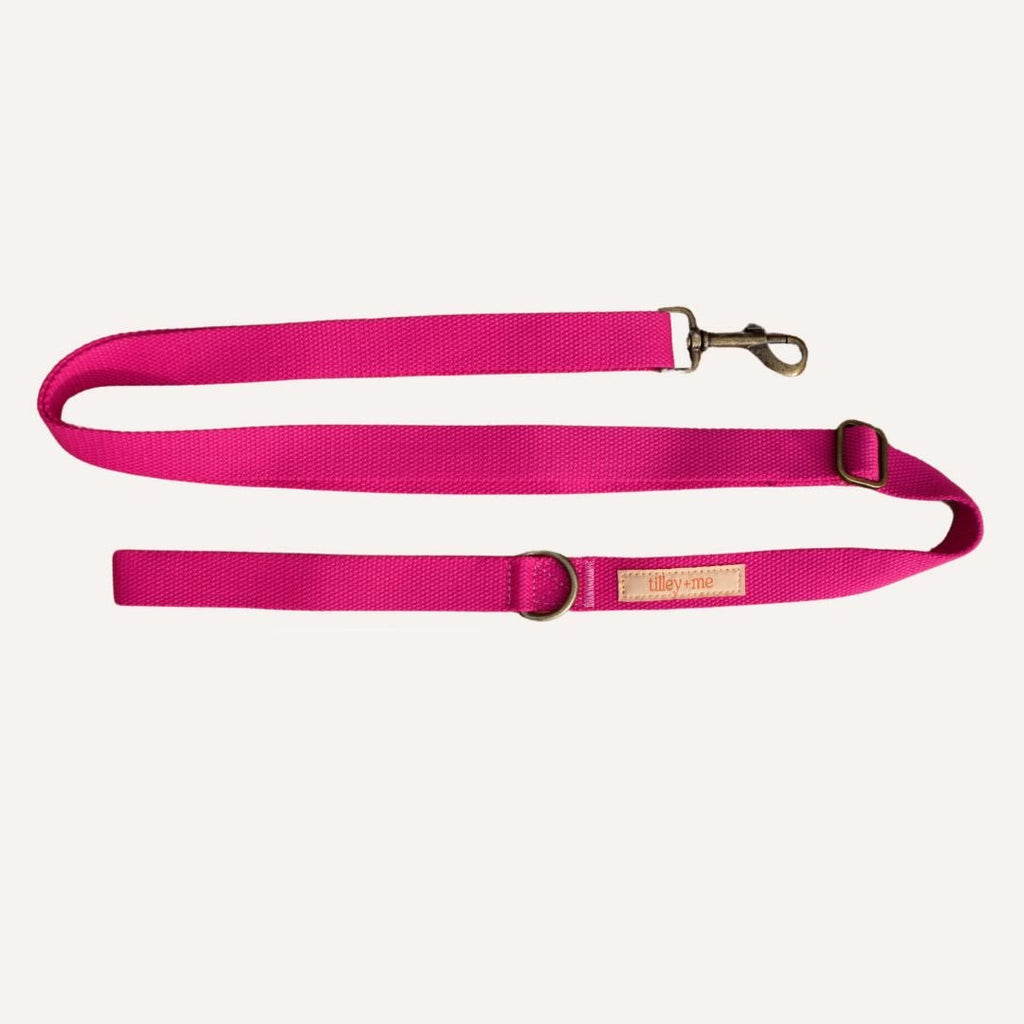 Malibu Sunset Sustainable Hemp Cotton Adjustable Dog Leash – Durable & Soft