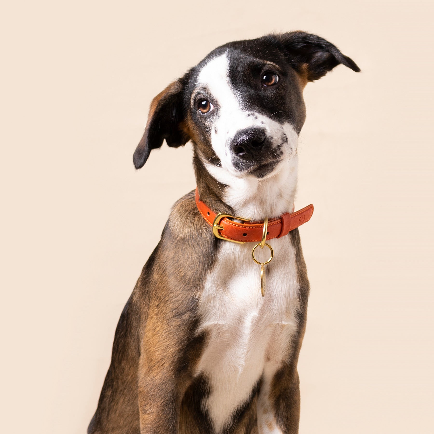 Sunset Collar