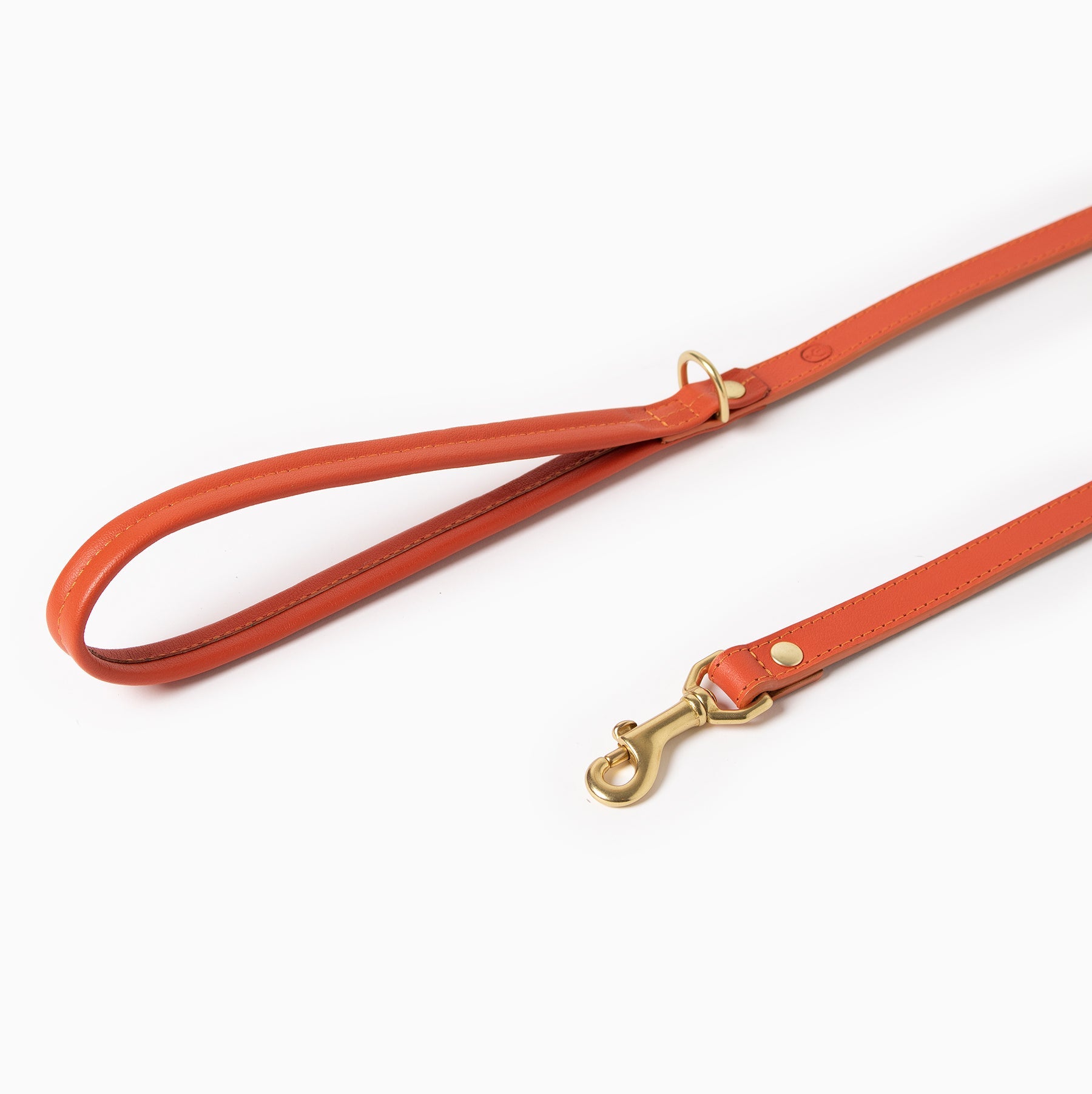 Sunset Leash