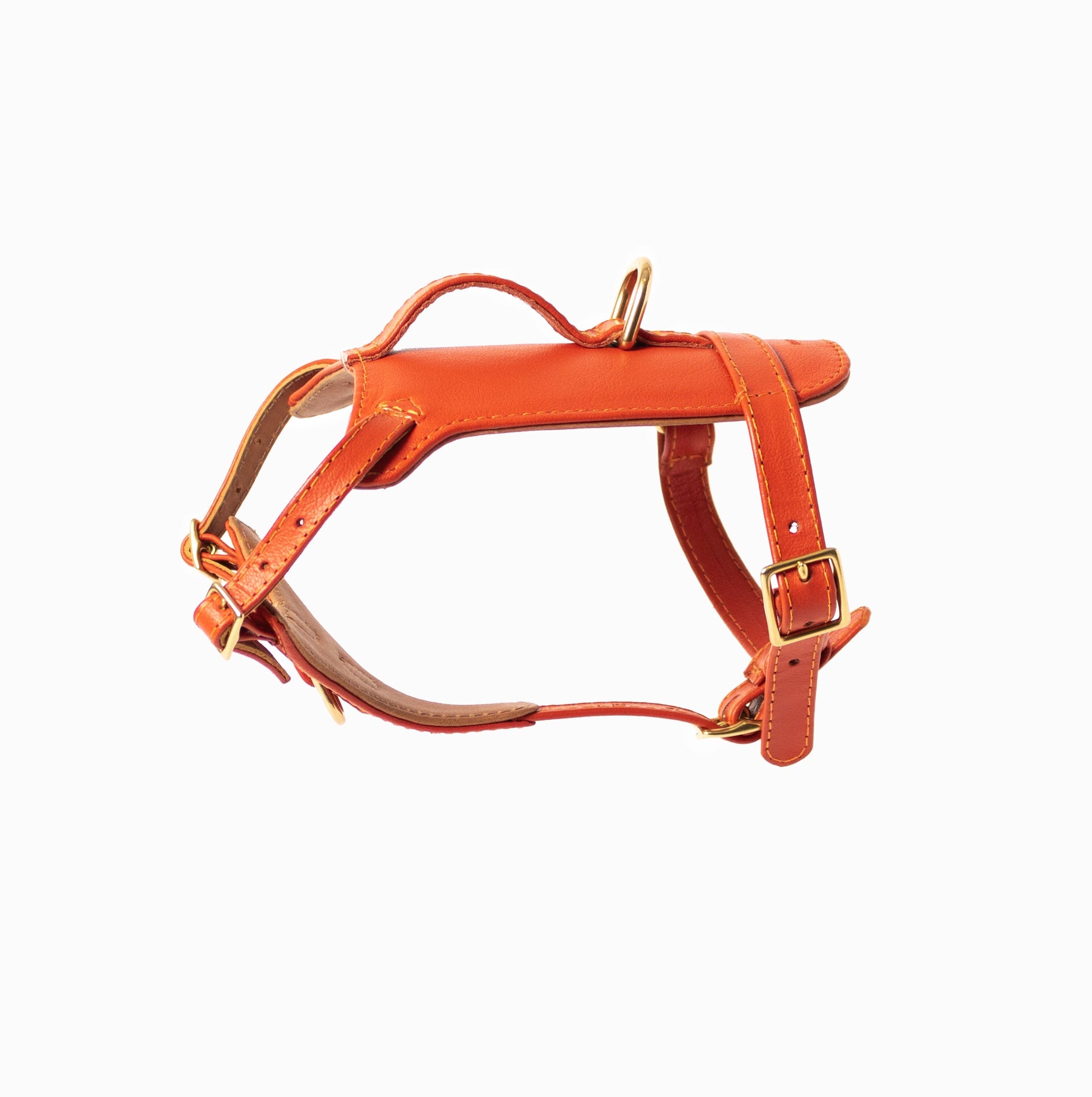 Sunset Heritage Harness