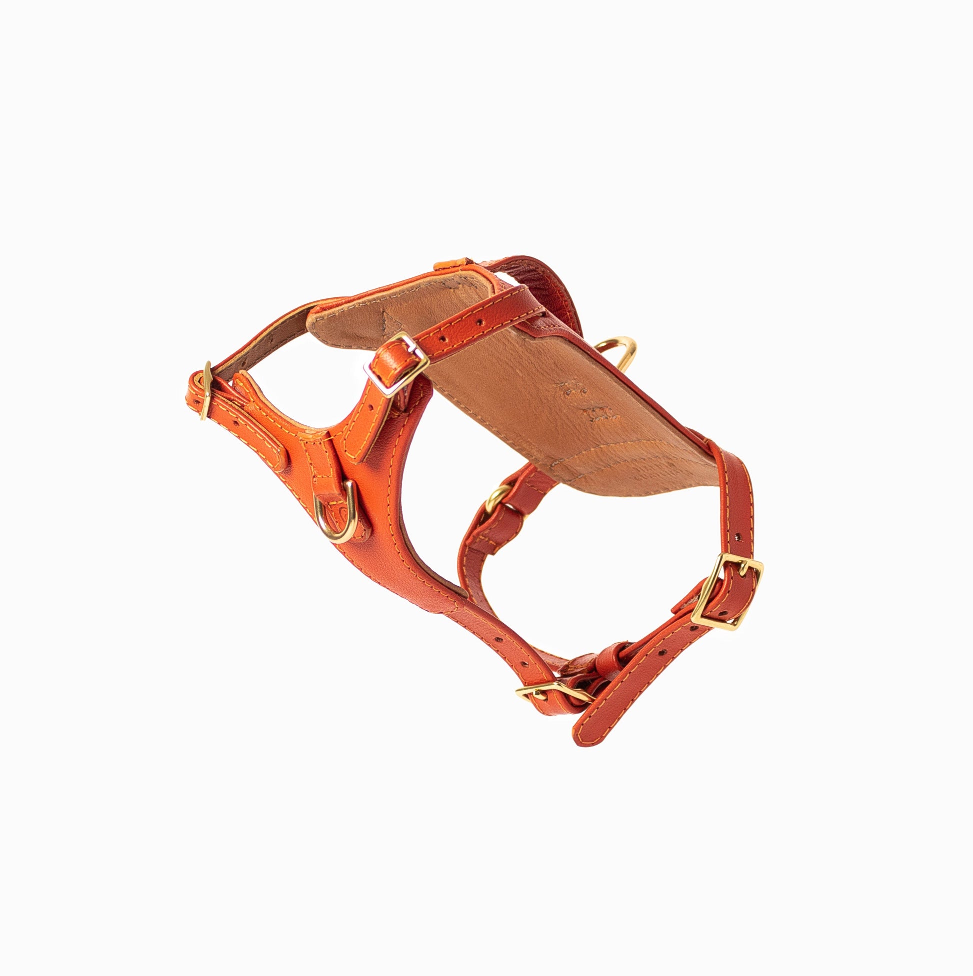 Sunset Heritage Harness