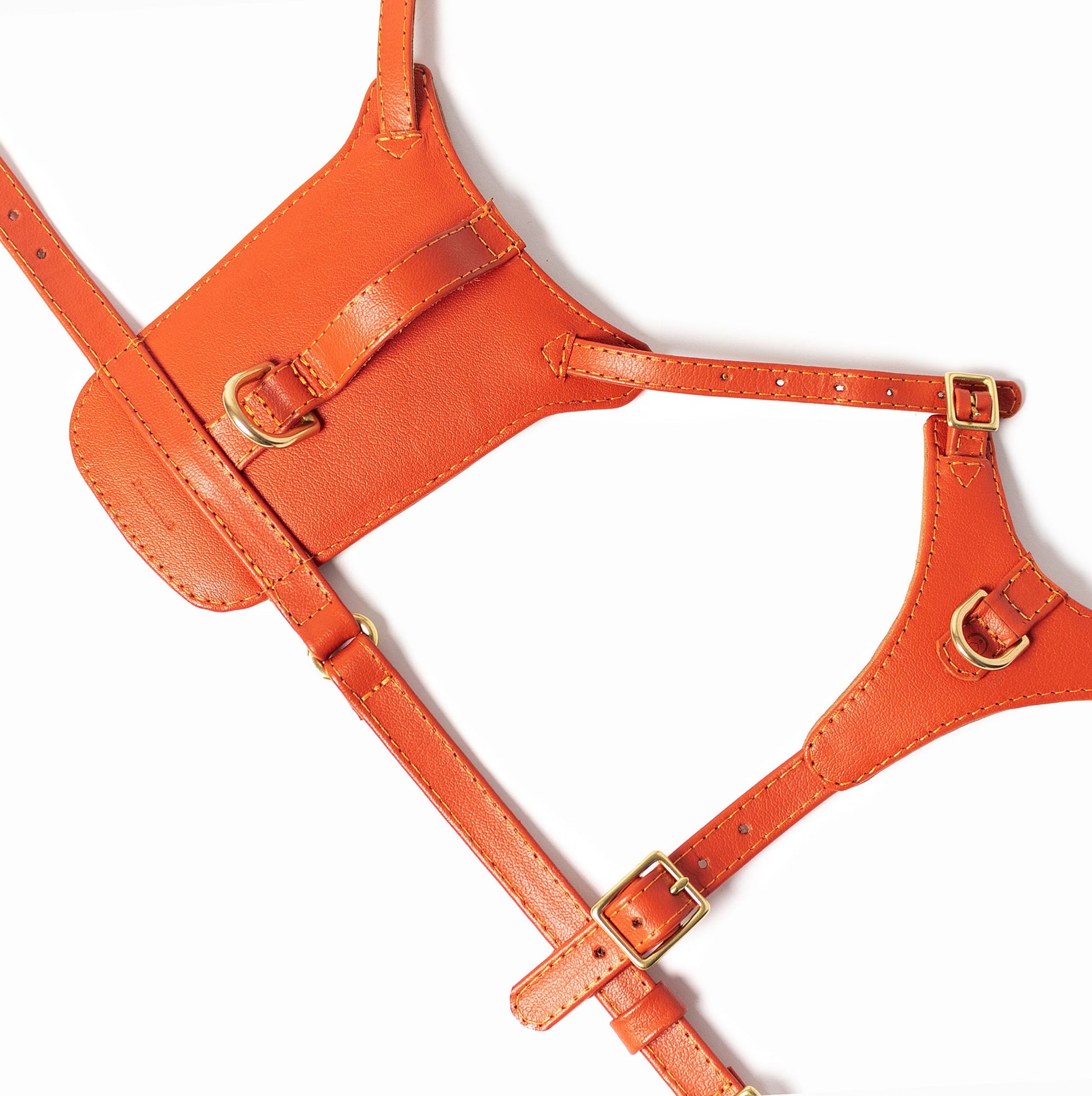 Sunset Heritage Harness
