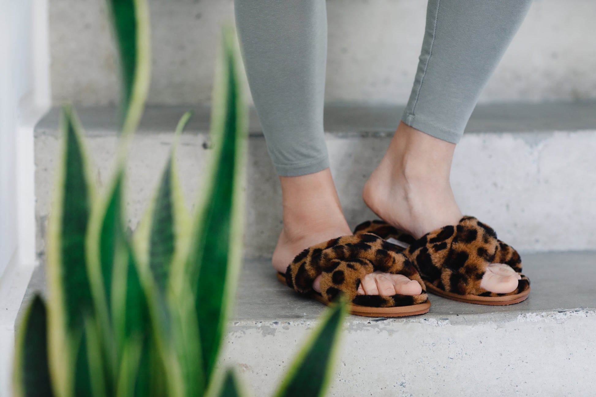 Delilah Ladies Sheepskin Slider Slipper - Leopard - The Peony Haus
