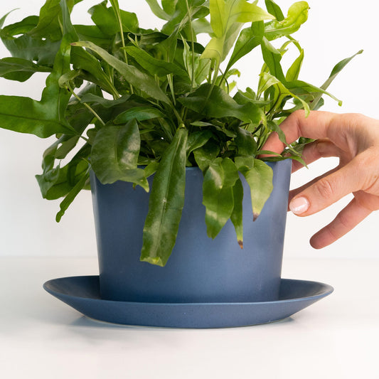 Geometric Oval Handmade Porcelain Planter - The Peony Haus