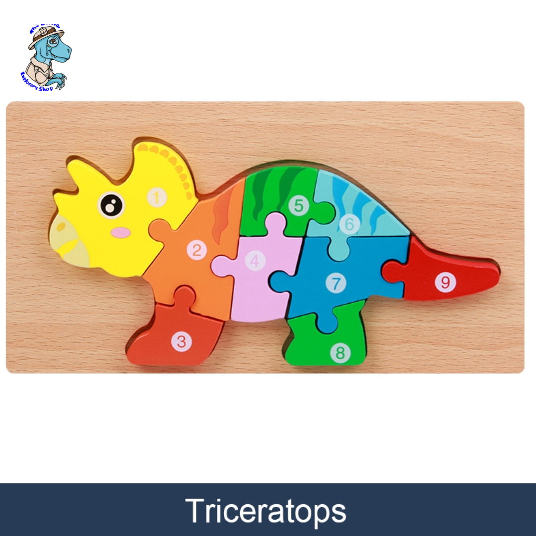 3D Wooden Puzzle