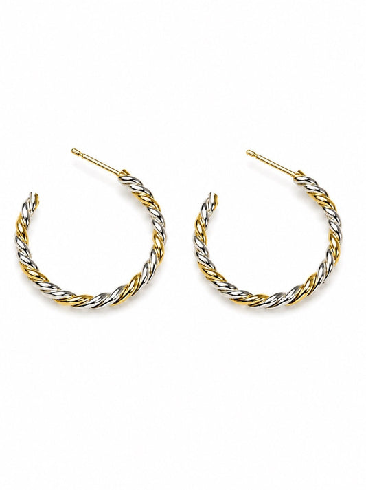 Two-Tone Twist Hoops