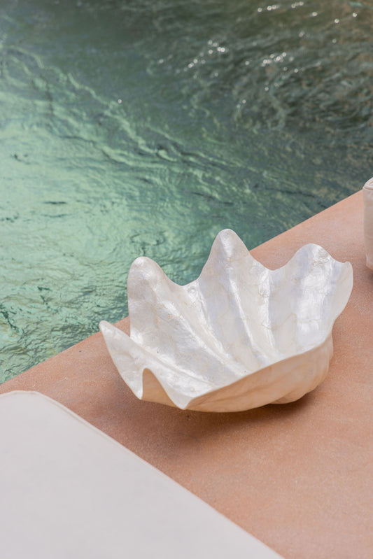 Clam Shell Bowl