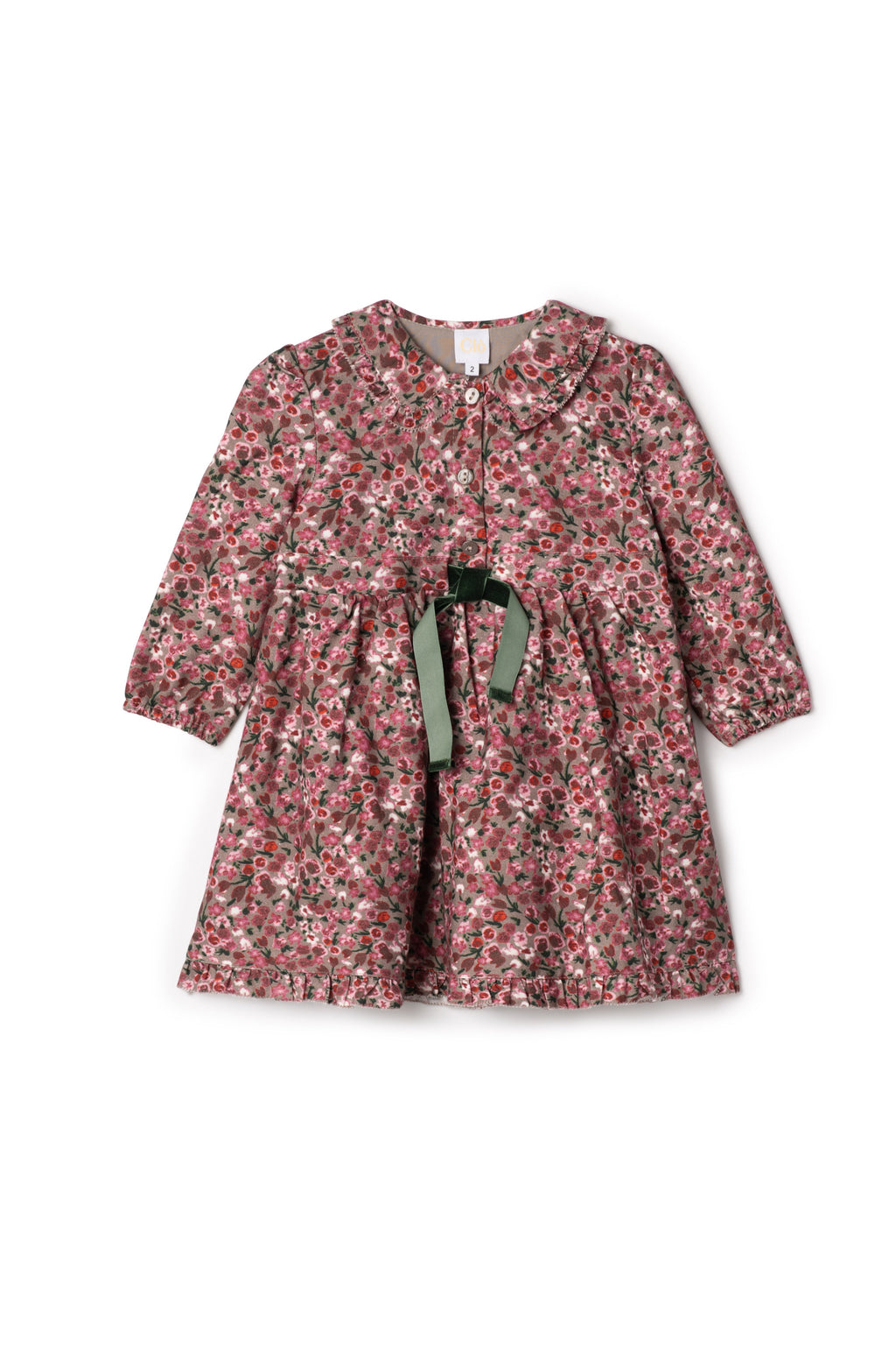 Flower Print Lace Dress