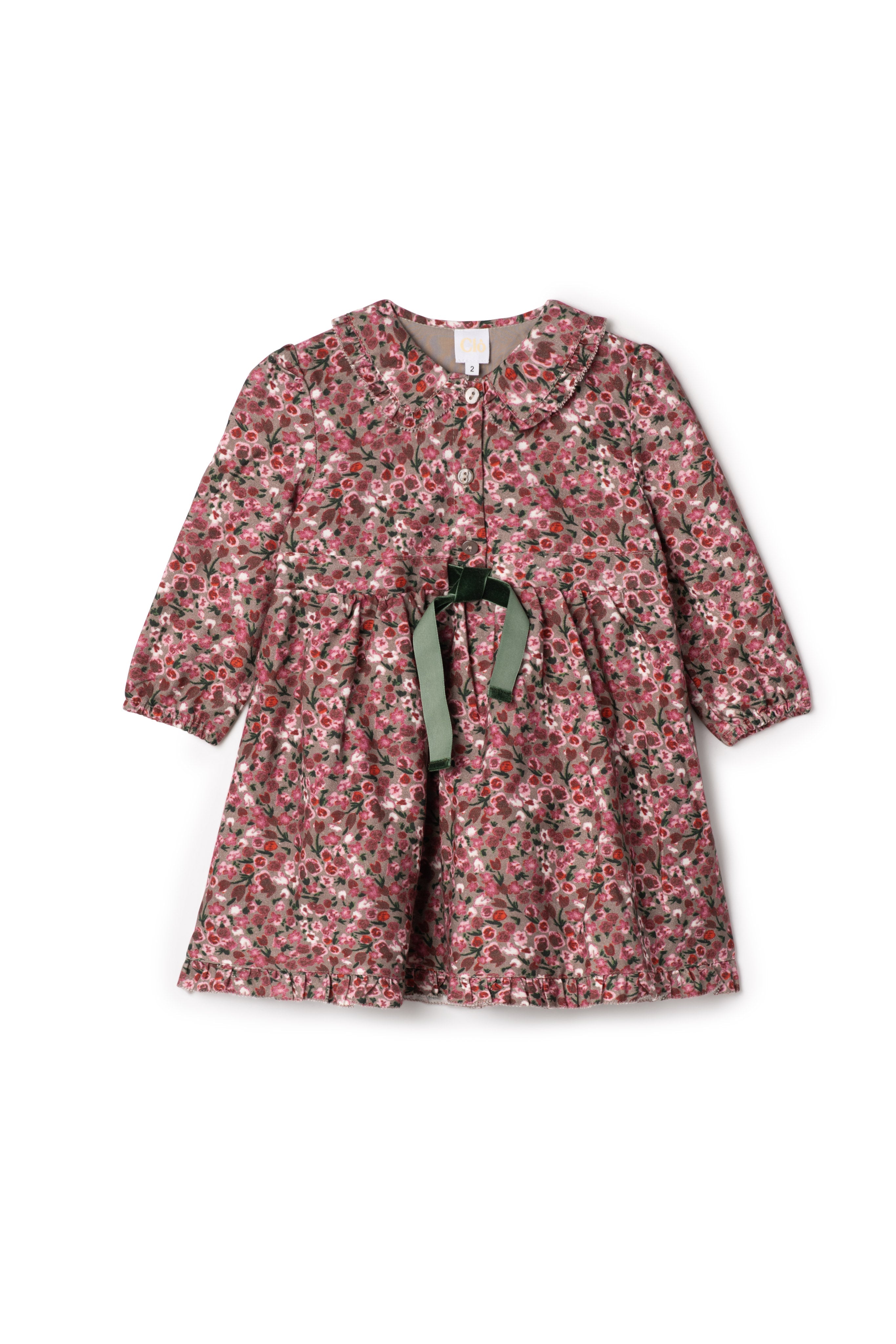 Flower Print Lace Dress