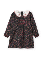 Woven Embroidered Dress