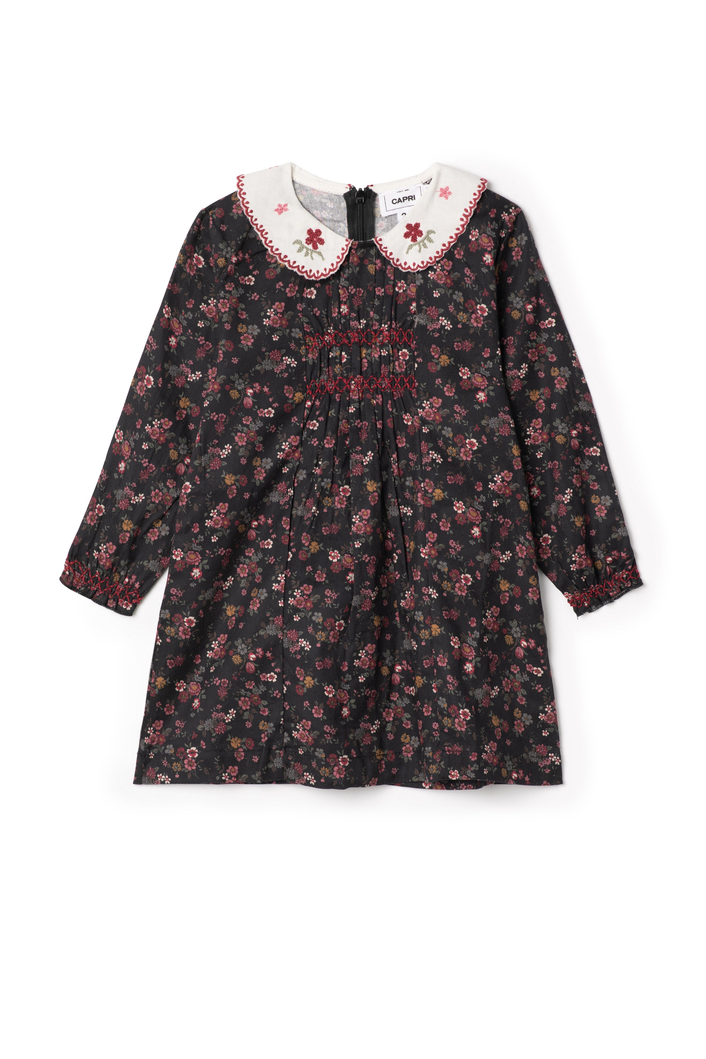 Woven Embroidered Dress