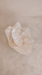 Clam Shell Bowl