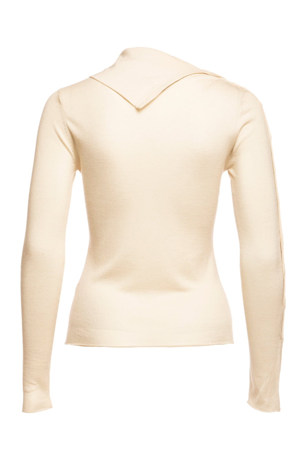 Pearl Body Fitted Flap Turtle Neck Textured Top