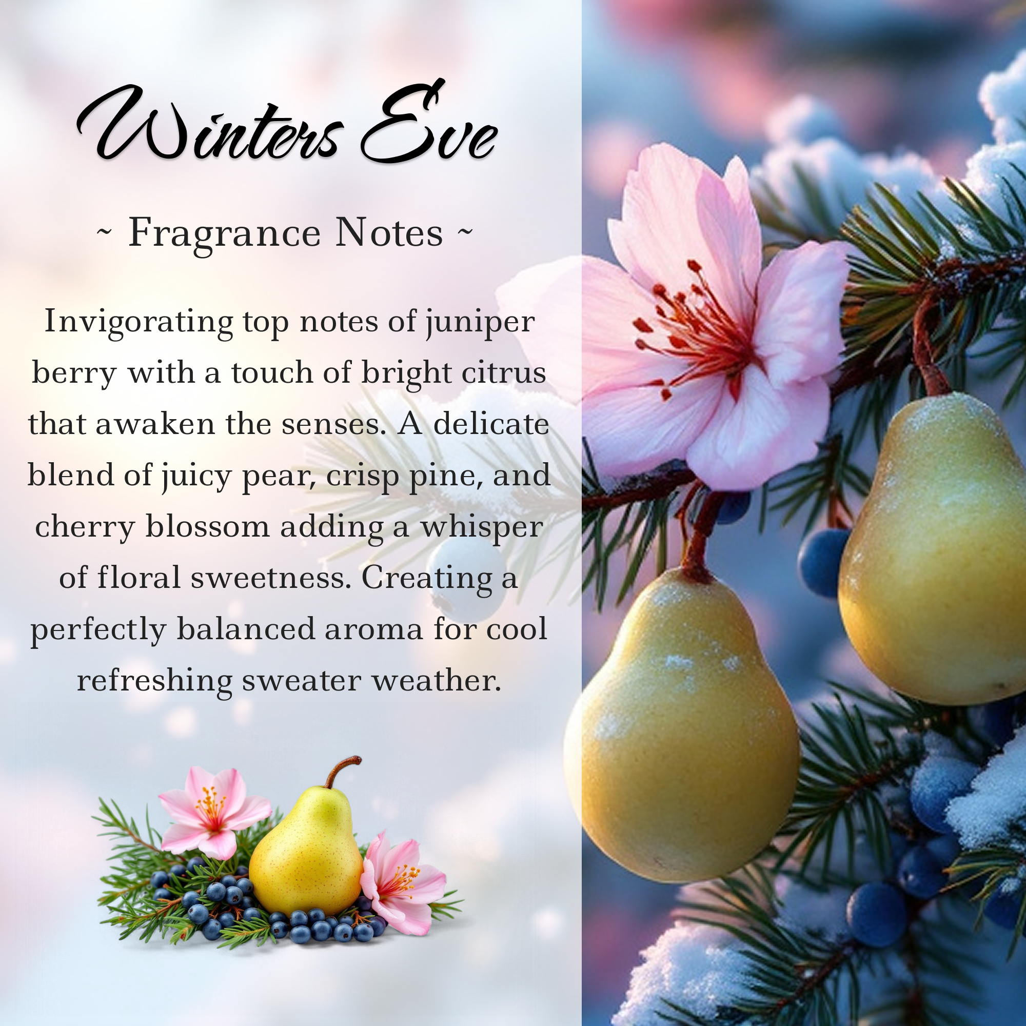Limited Edition: Winters Eve Crystal-Enhanced Oil Diffuser, Car Air Freshener, 8ml
