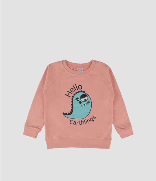 Hello earthlings organic sweatshirt - The Peony Haus
