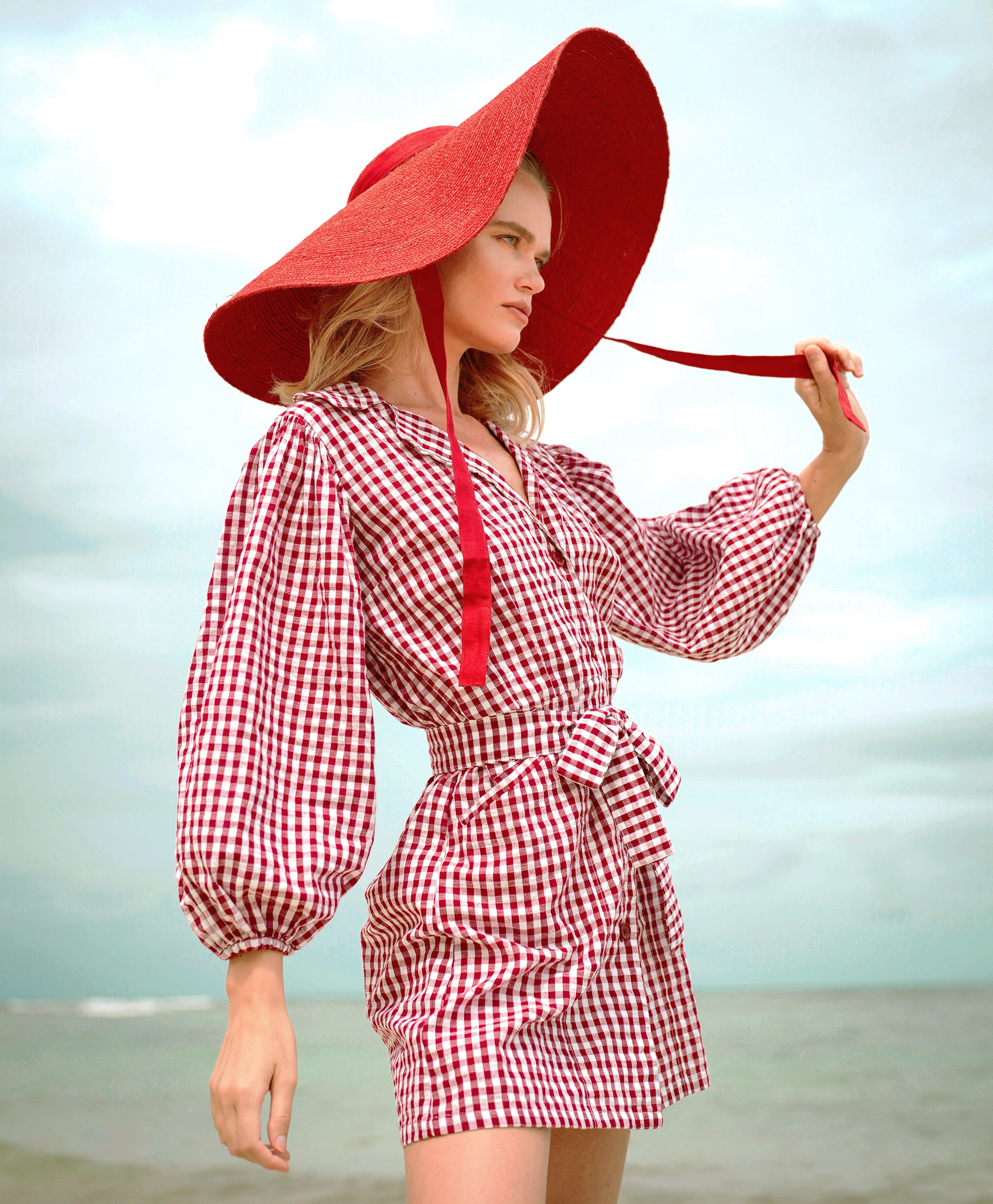 MEGHAN Mini Dress, in Gingham Red - The Peony Haus