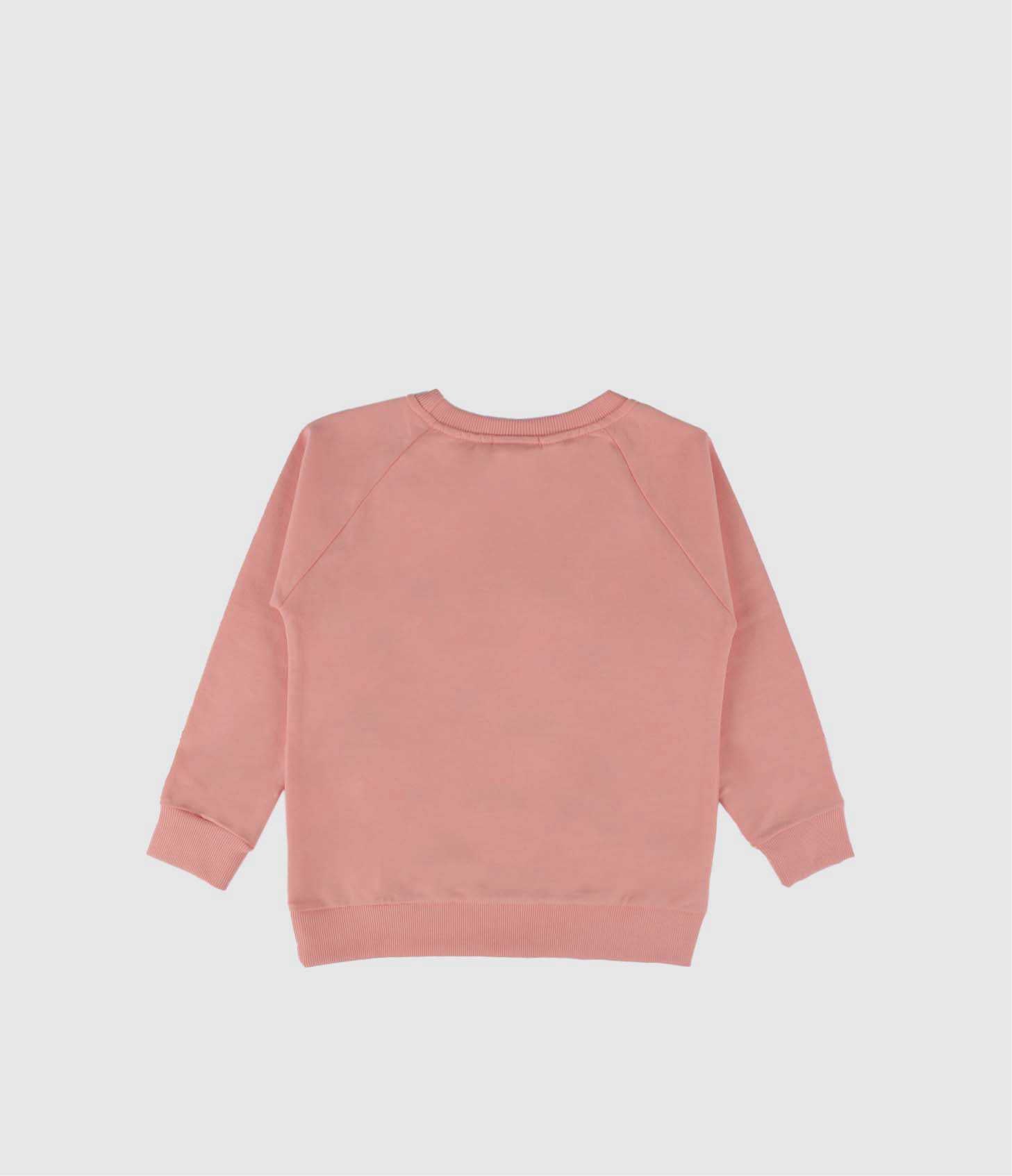 Hello earthlings organic sweatshirt