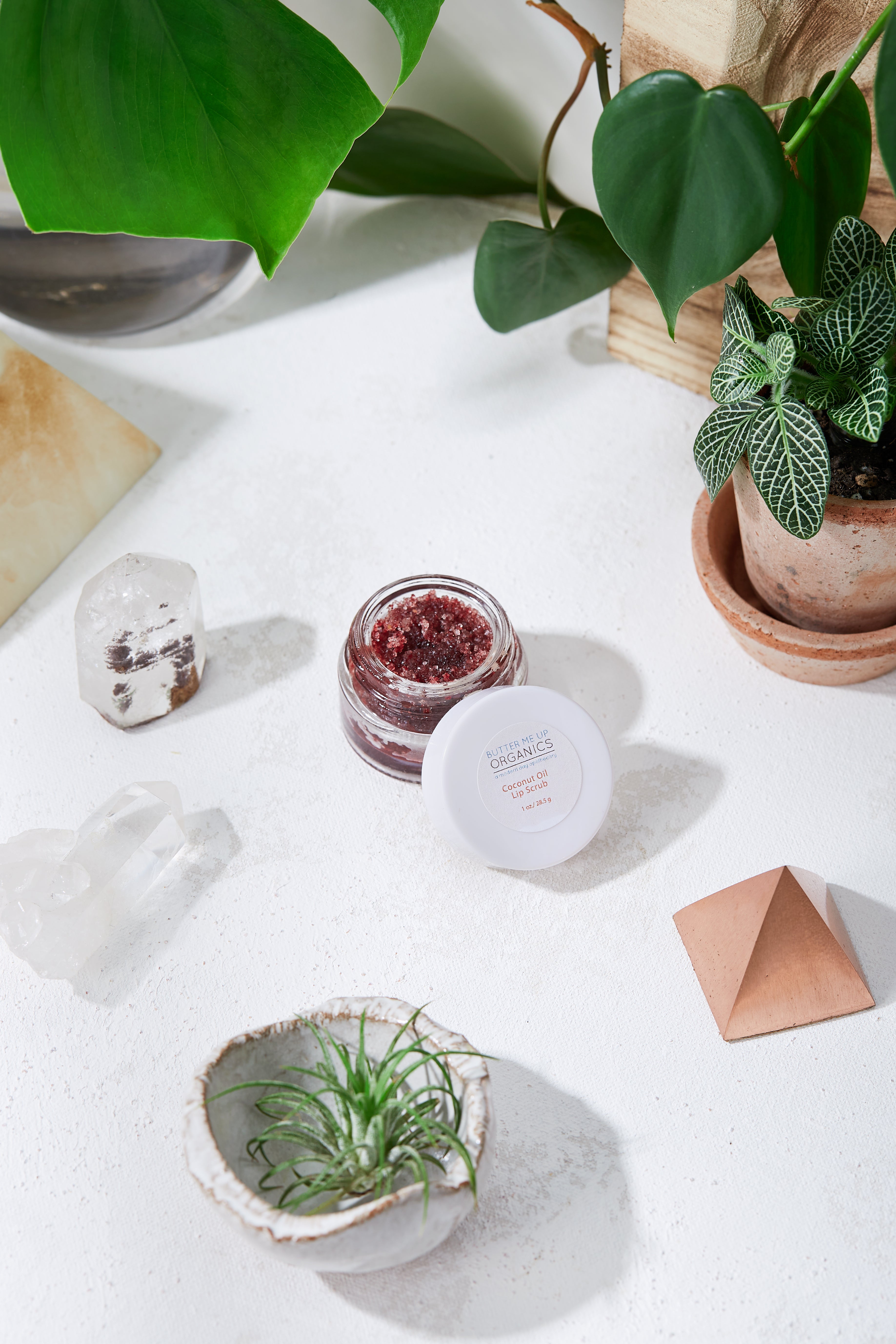 Organic Coconut Lip Scrub - The Peony Haus