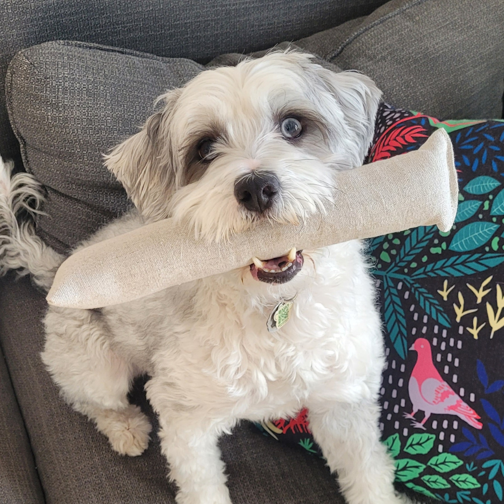 Boba & Vespa Cat Kicker Toy for Bunny Kicks in Hemp and Cotton with Organic Catnip