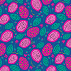 Dragonfruit Swedish Dish Cloth Set of 3