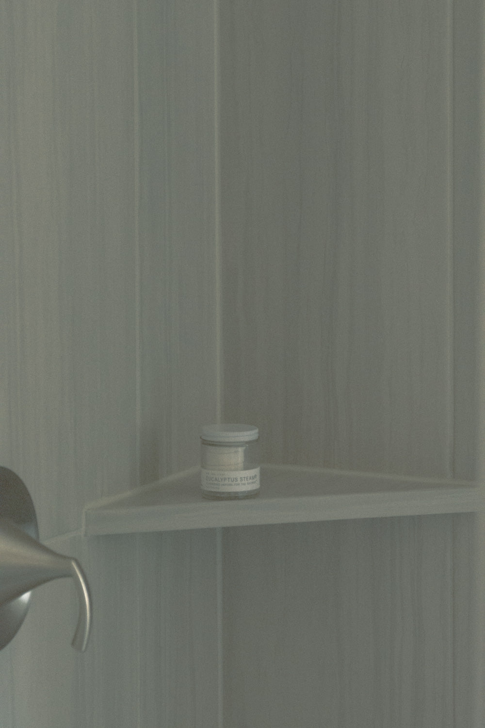 EUCALYPTUS STEAM® Cleansing vapors for the shower® - Mini Jar - No Tox Life®